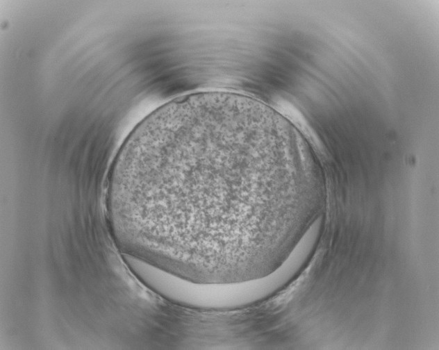 X0000088590908200706221338