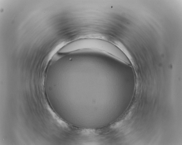 X0000088590909200706221338