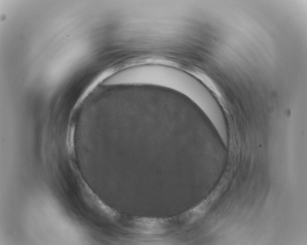 X0000088590910200706221338