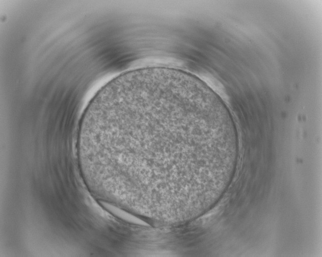 X0000088590912200706221338