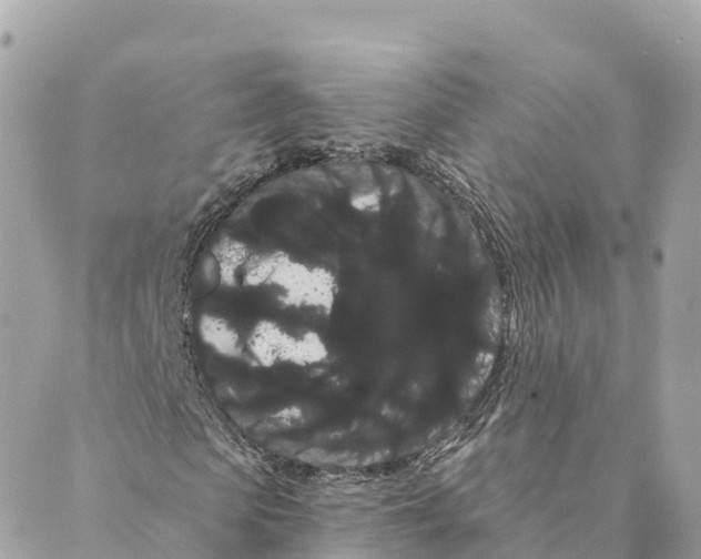 X0000088590913200706221337