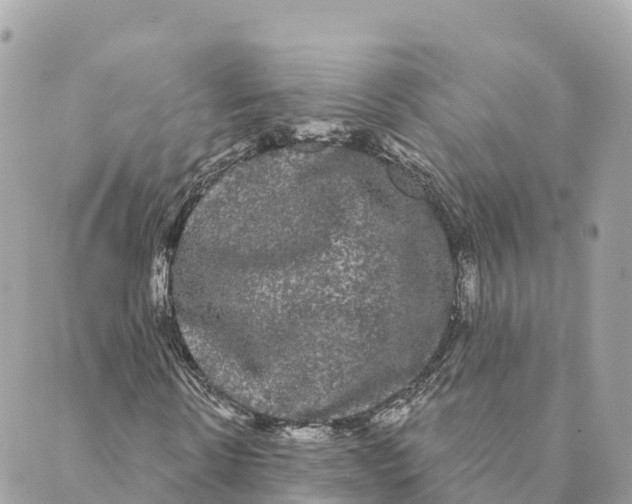 X0000088590914200706221337