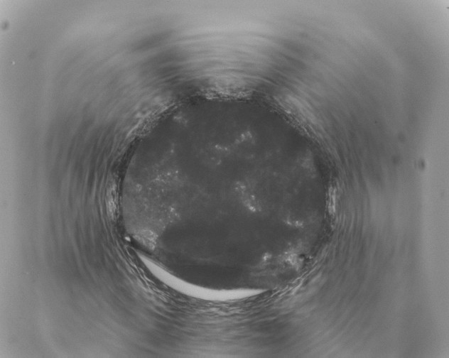 X0000088590915200706221337