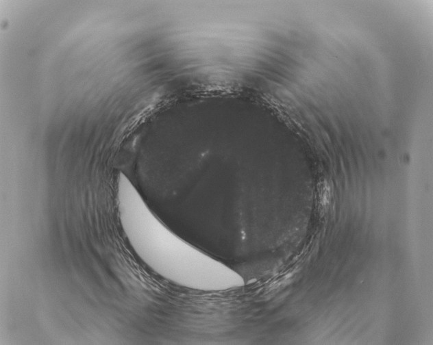 X0000088590916200706221337