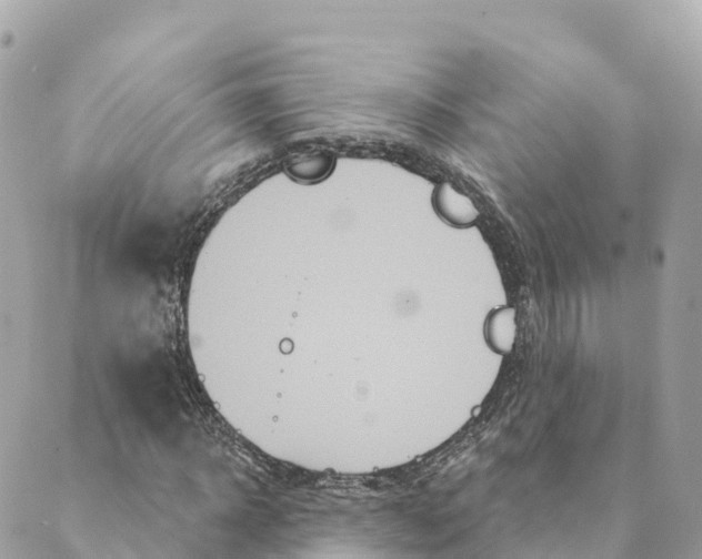 X0000088590918200706221337