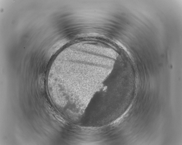 X0000088590921200706221337