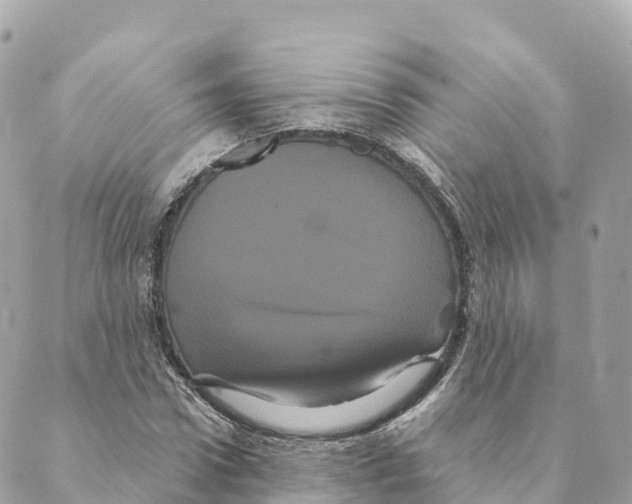 X0000088590922200706221337