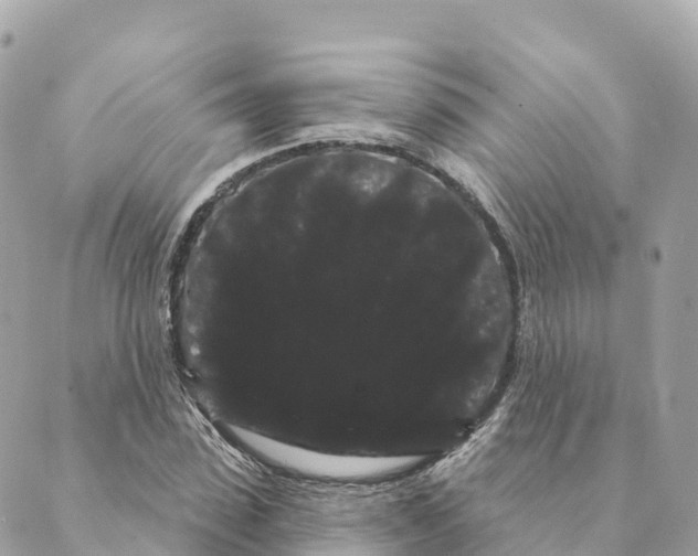 X0000088590923200706221337