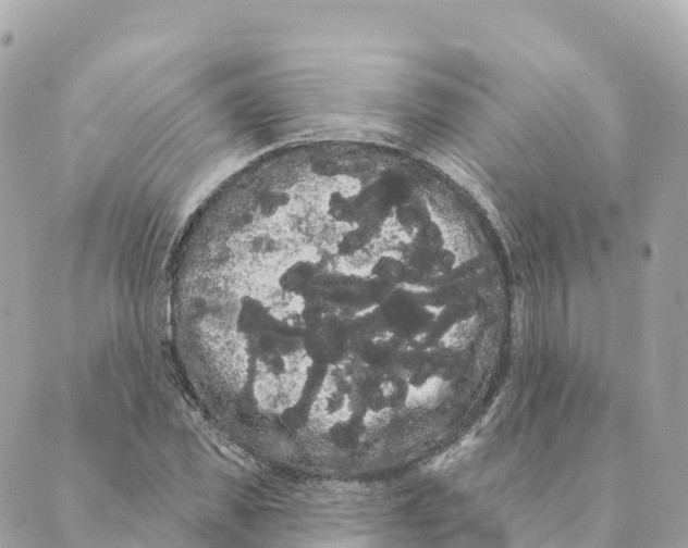 X0000088590925200706221337