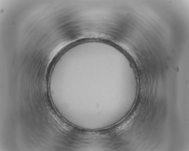 X0000088590927200706221337