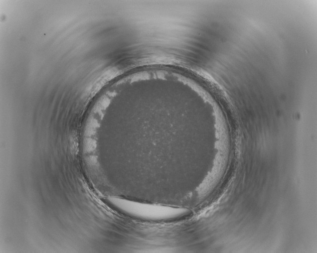 X0000088590929200706221337