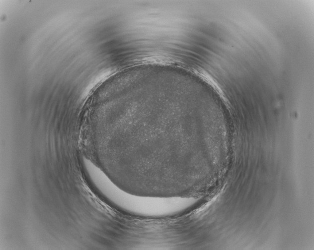 X0000088590930200706221337