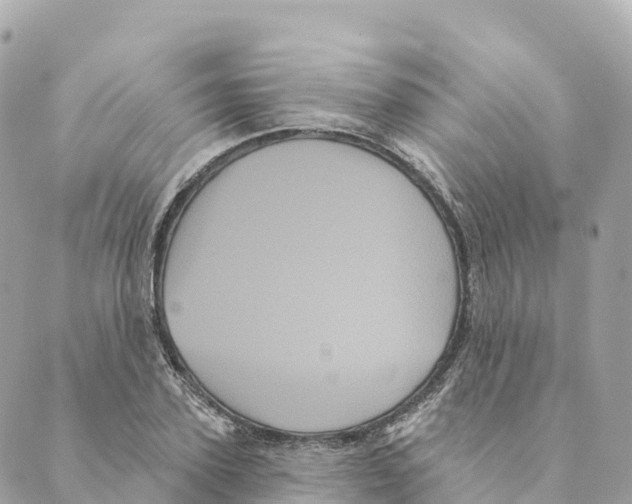 X0000088590931200706221337