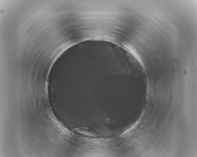 X0000088590932200706221337