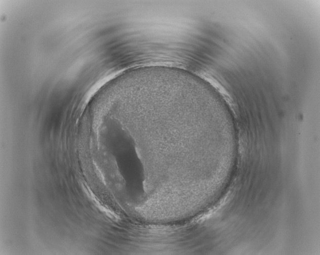 X0000088590933200706221337