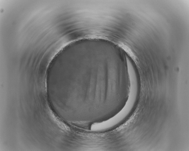 X0000088590934200706221337