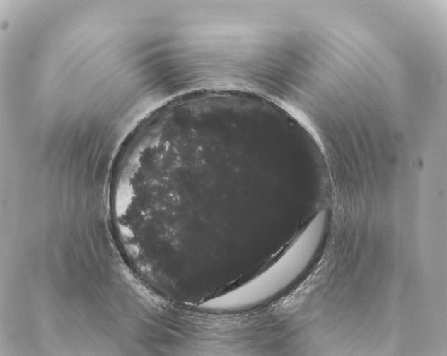 X0000088590935200706221337