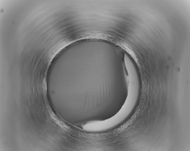 X0000088590936200706221337