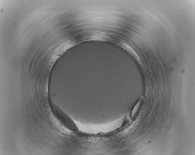 X0000088590938200706221337