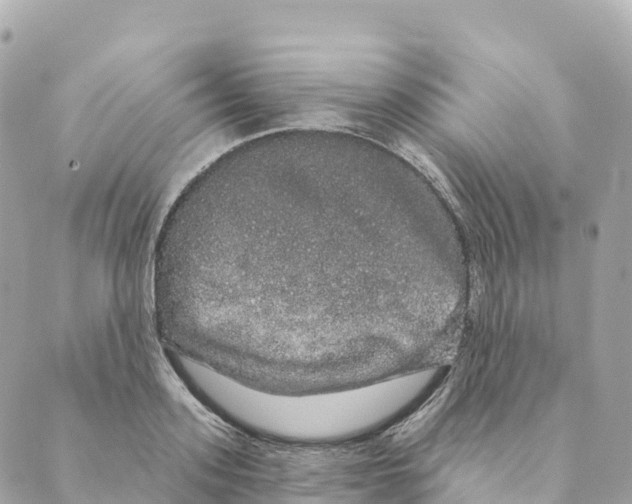 X0000088590939200706221337