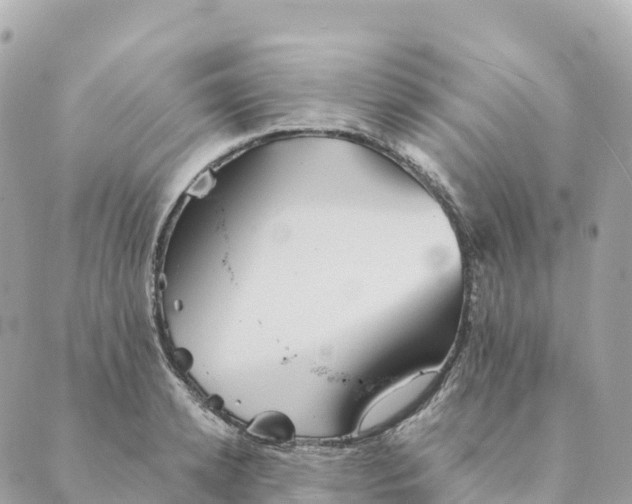 X0000088590942200706221337