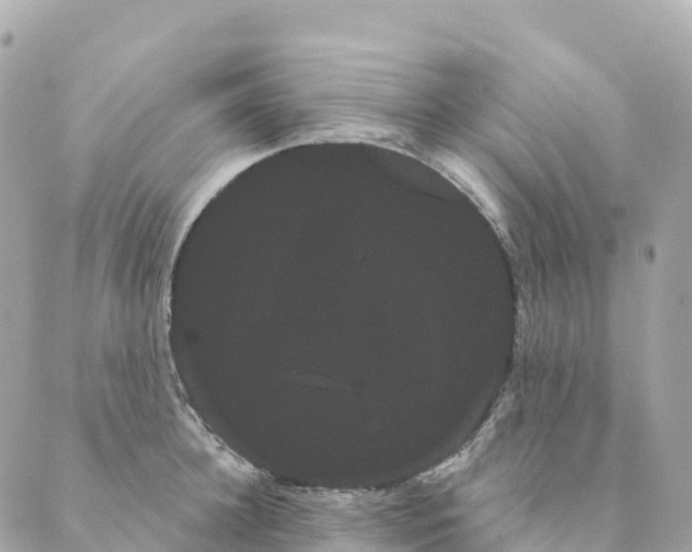 X0000088590948200706221338