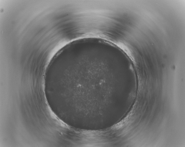 X0000088590950200706221338