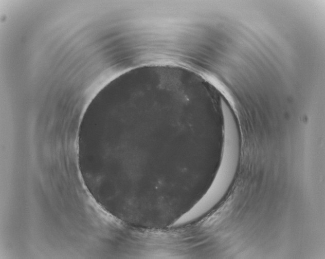 X0000088590951200706221338