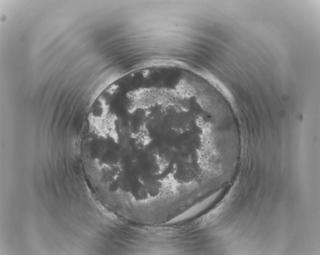 X0000088590953200706221338