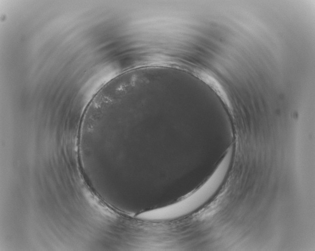 X0000088590954200706221338