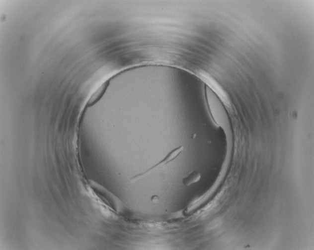 X0000088590956200706221338