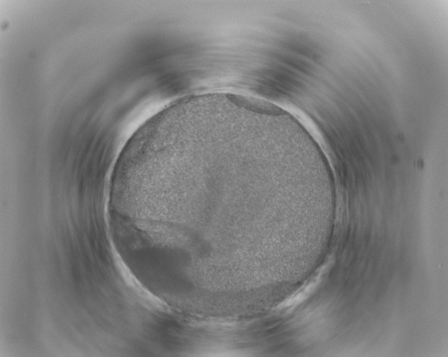 X0000088590957200706221338