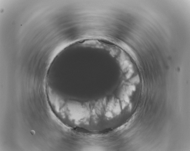 X0000088590958200706221338