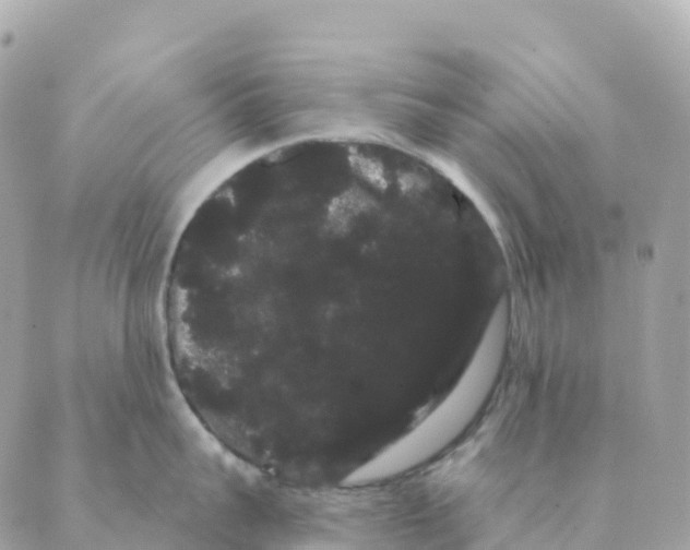 X0000088590959200706221338