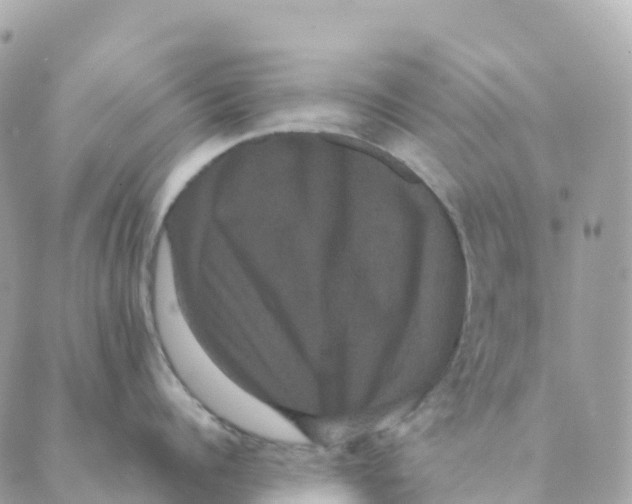 X0000088590960200706221338