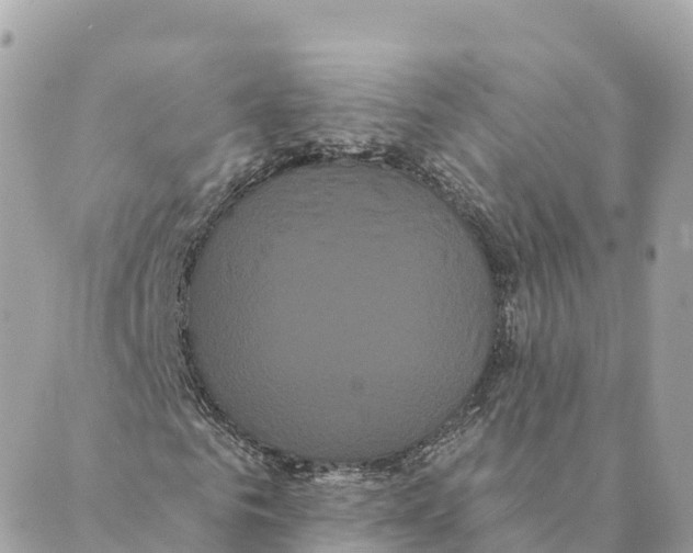 X0000088590961200706221337