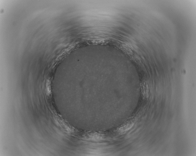 X0000088590962200706221337