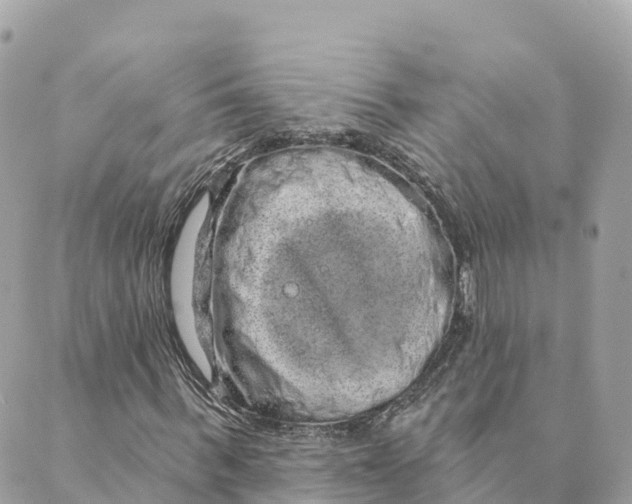 X0000088590963200706221337