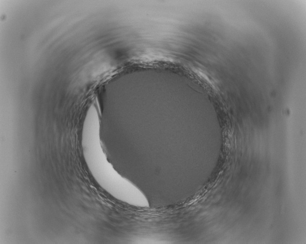 X0000088590965200706221337