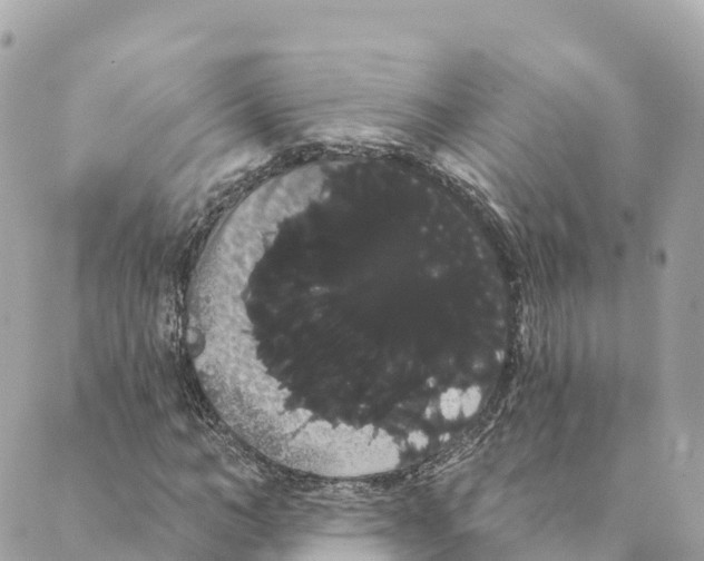 X0000088590966200706221337