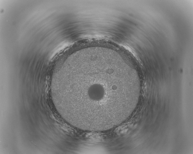 X0000088590967200706221337