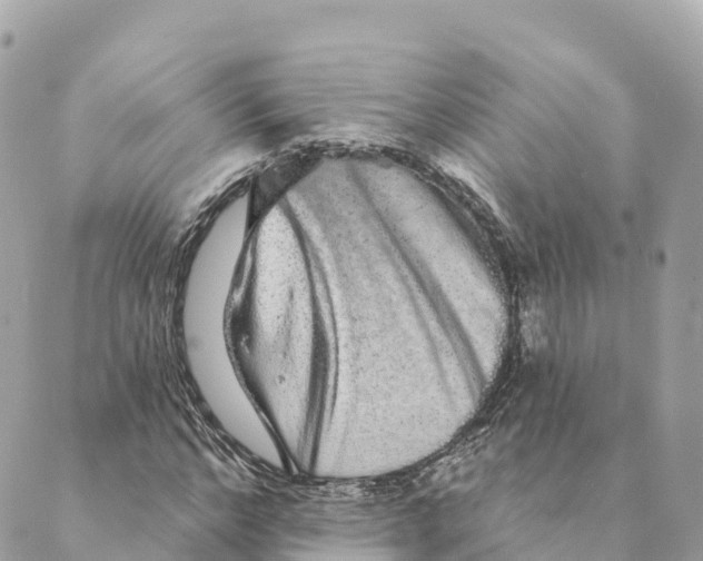 X0000088590968200706221337