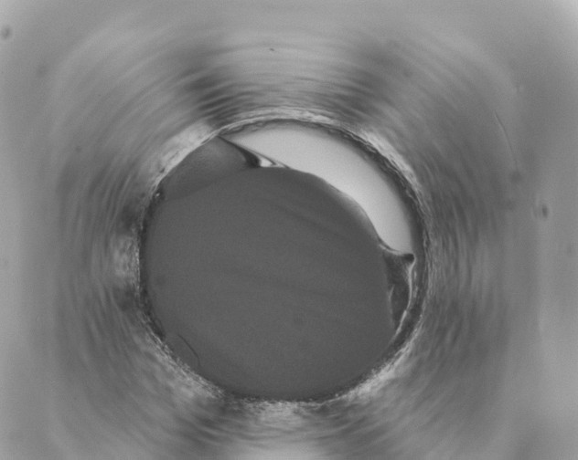 X0000088590969200706221337