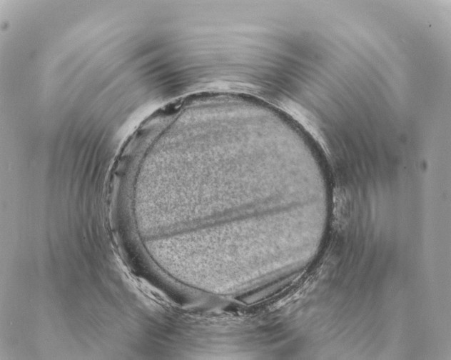 X0000088590972200706221337