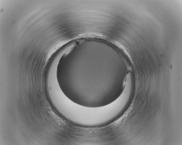 X0000088590973200706221337