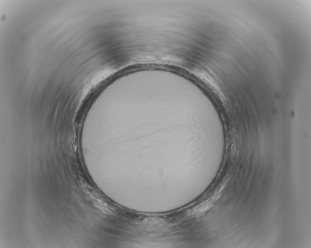 X0000088590974200706221337