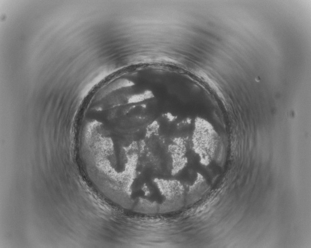 X0000088590975200706221337