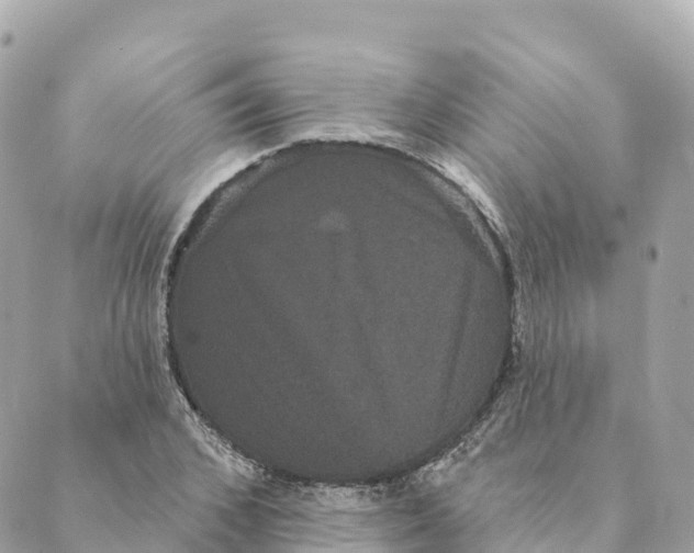 X0000088590976200706221337