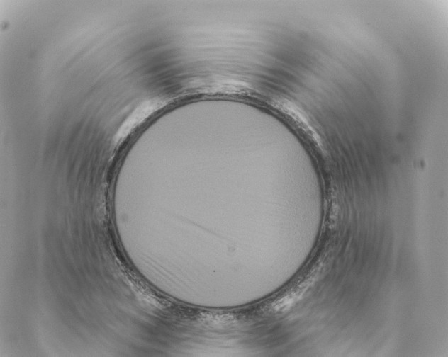 X0000088590978200706221337