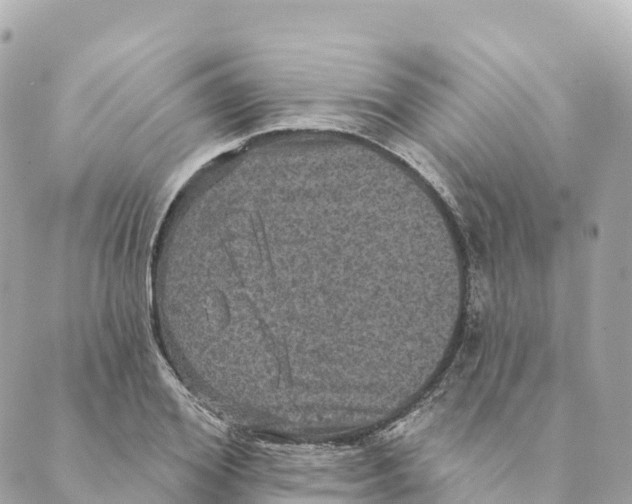 X0000088590980200706221337